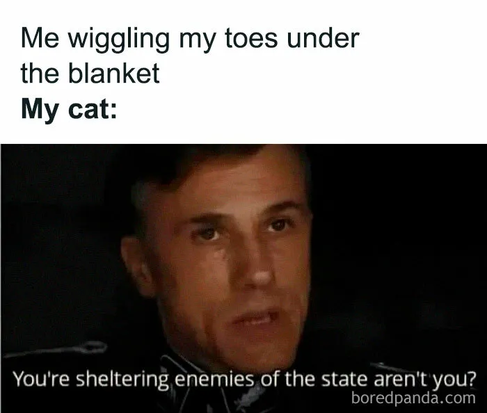 50 Funny Memes That You Might Find Painfully Relatable