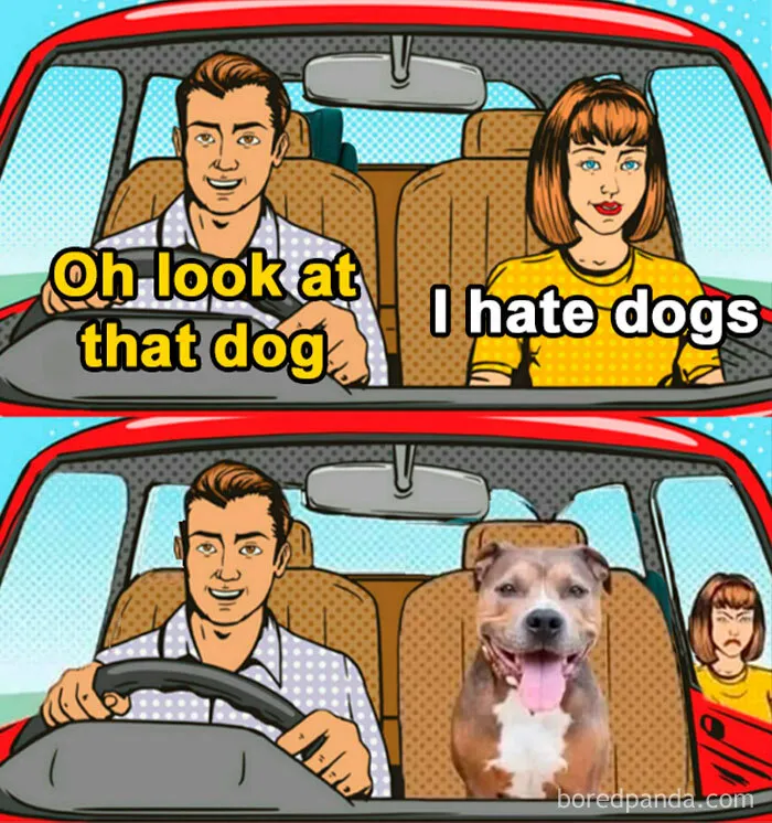 50 Dog Memes To Make Your Day Much Brighter