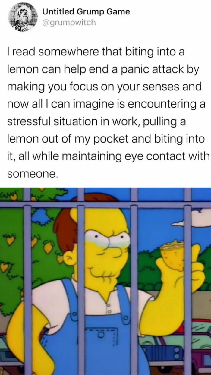 30 Best Moments From Simpsons That Became Meme Gold