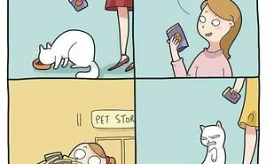50 Hilarious And Adorable Cat Memes That Prove Why The Internet Loves Them So Much (New Pics)