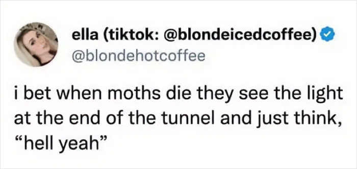 50 Funny Tweets Dedicated To Those Who Like "Tastefully Offensive" Humor (New Posts)