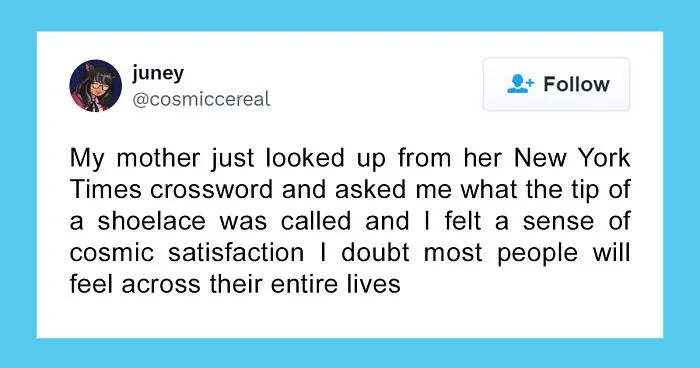 50 Funny Tweets Dedicated To Those Who Like "Tastefully Offensive" Humor (New Posts)