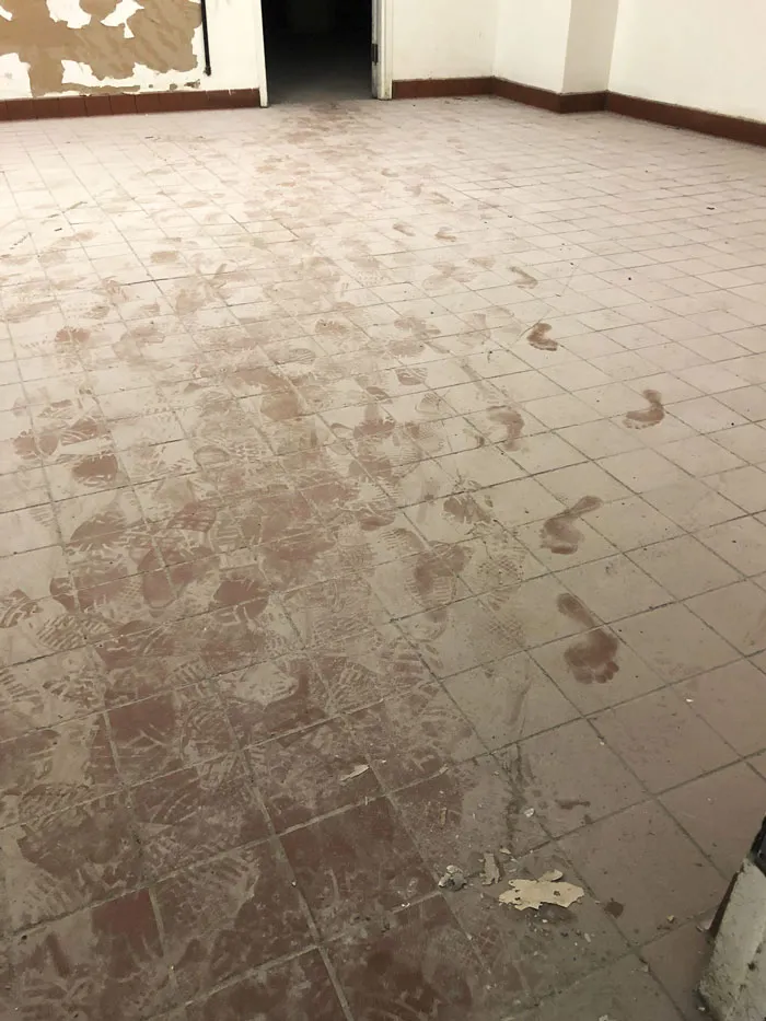 Al parecer hubo un visitante mientras trabajaba yo solo en un sótano abandonado