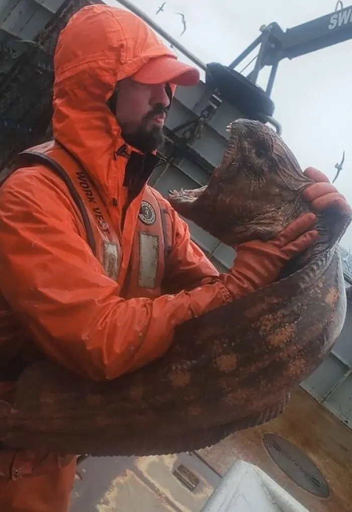 Pescador con una anguila lobo