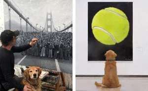 A Painting Of My Golden Retriever That Went Viral And Changed My Life Forever