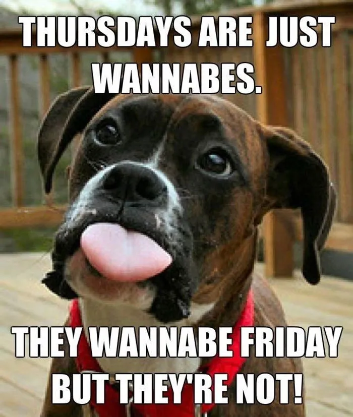 Playful dog expressing Thursday memes humor, highlighting its desire for the weekend with a funny caption.