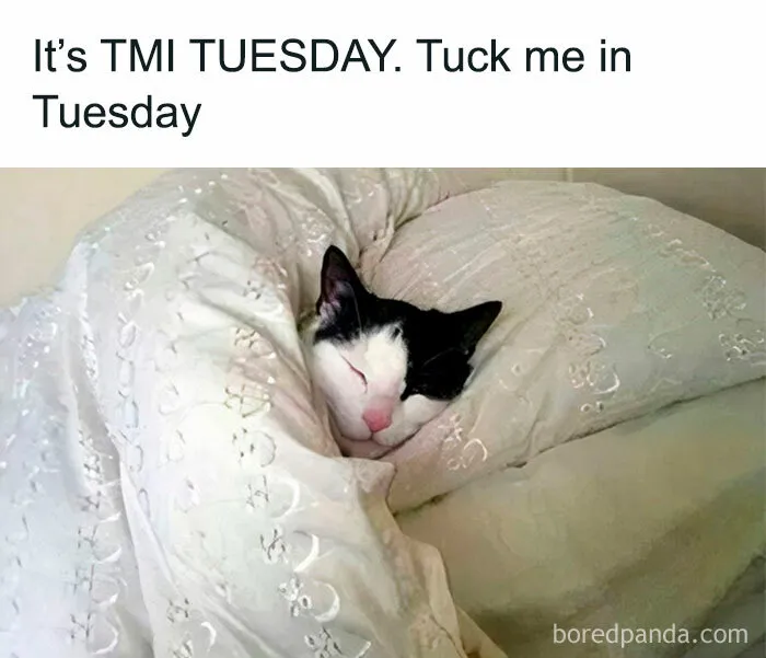 “Tuck Me in” Tuesday