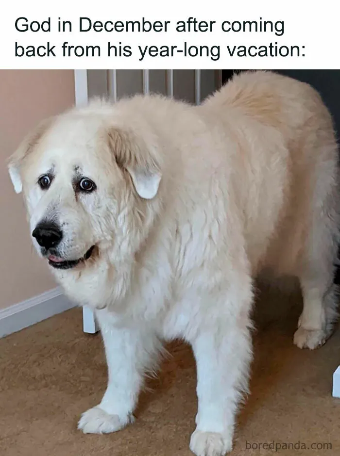 “The Year Was Too Long”
