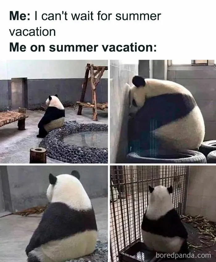 “When You Can’t Wait for Summer — But Can’t Wait For It to End Either”