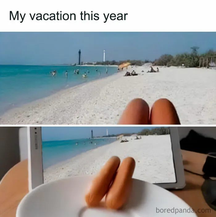 “My Vacation This Year”