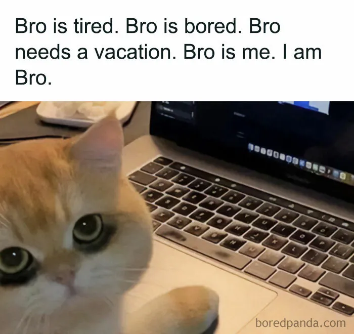“Bro Is Tired”