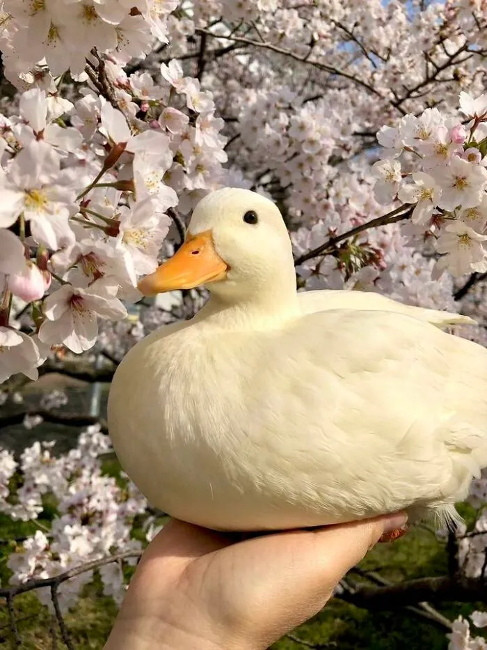 50 Feel-Good Photos To Cheer You Up