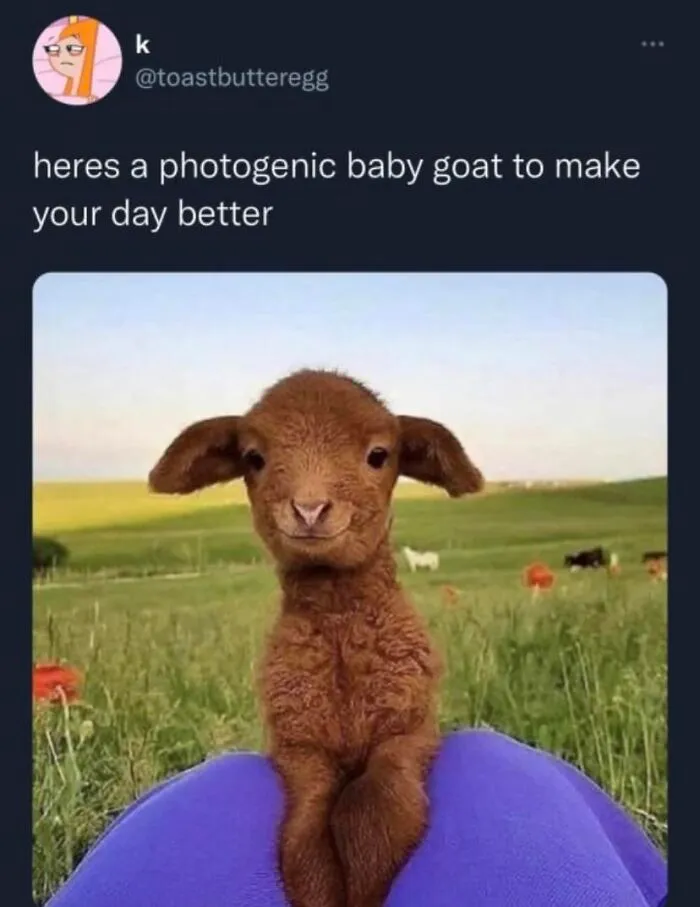 50 Feel-Good Photos To Cheer You Up