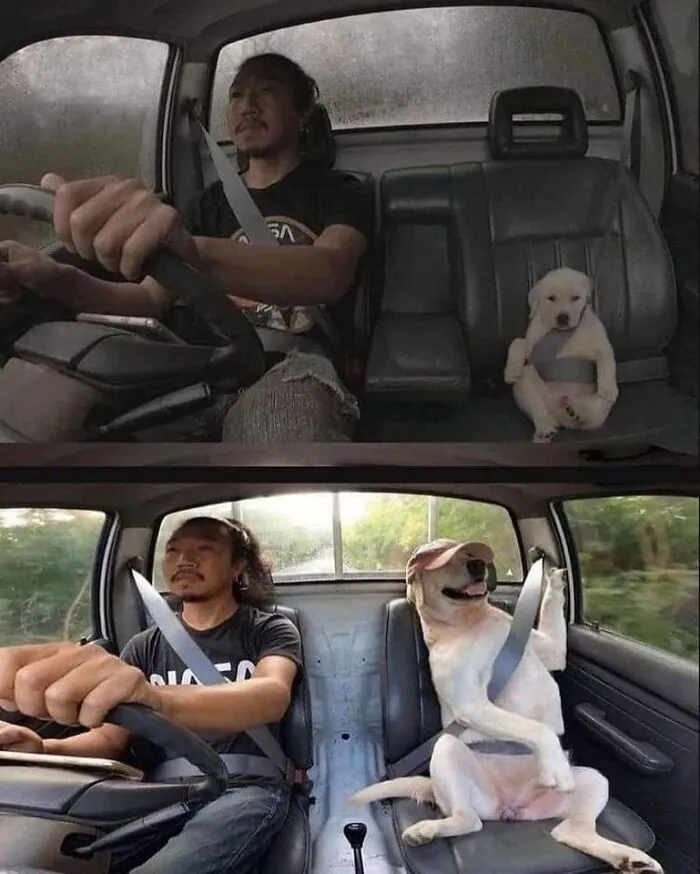 50 Feel-Good Photos To Cheer You Up