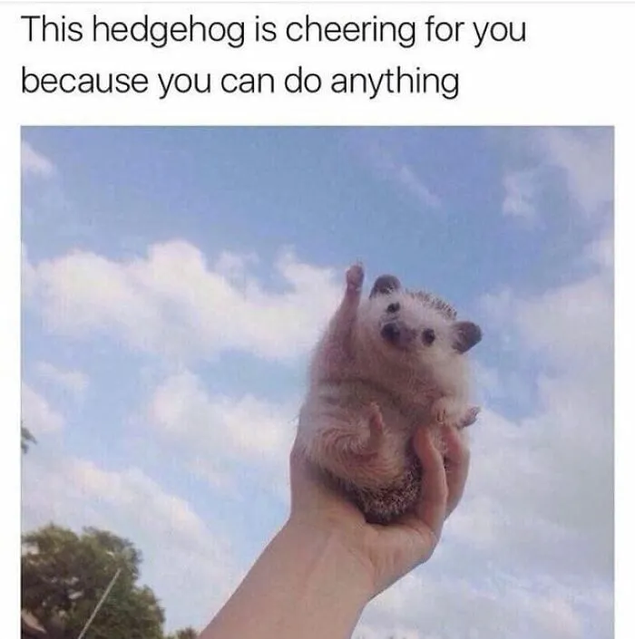 50 Feel-Good Photos To Cheer You Up