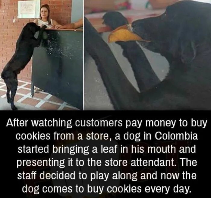50 Feel-Good Photos To Cheer You Up