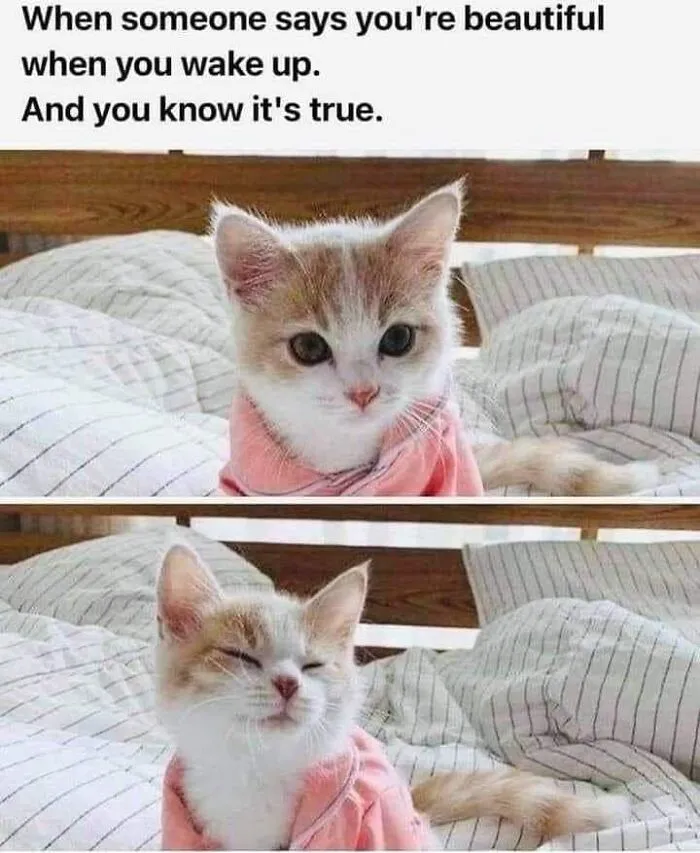 50 Feel-Good Photos To Cheer You Up
