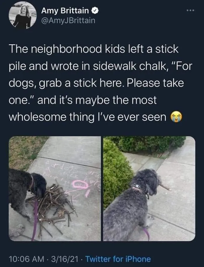 50 Feel-Good Photos To Cheer You Up