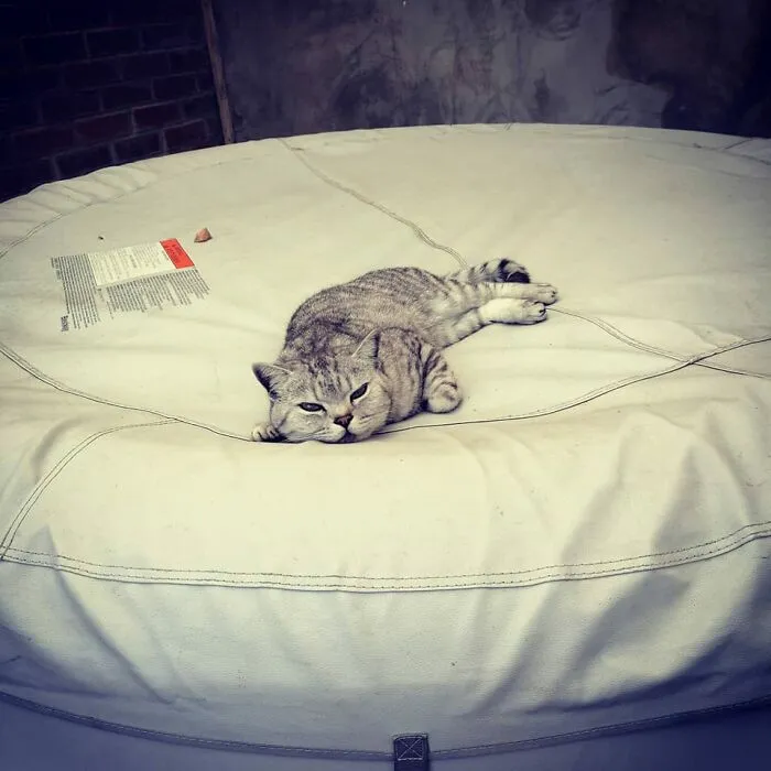50 Feel-Good Photos To Cheer You Up