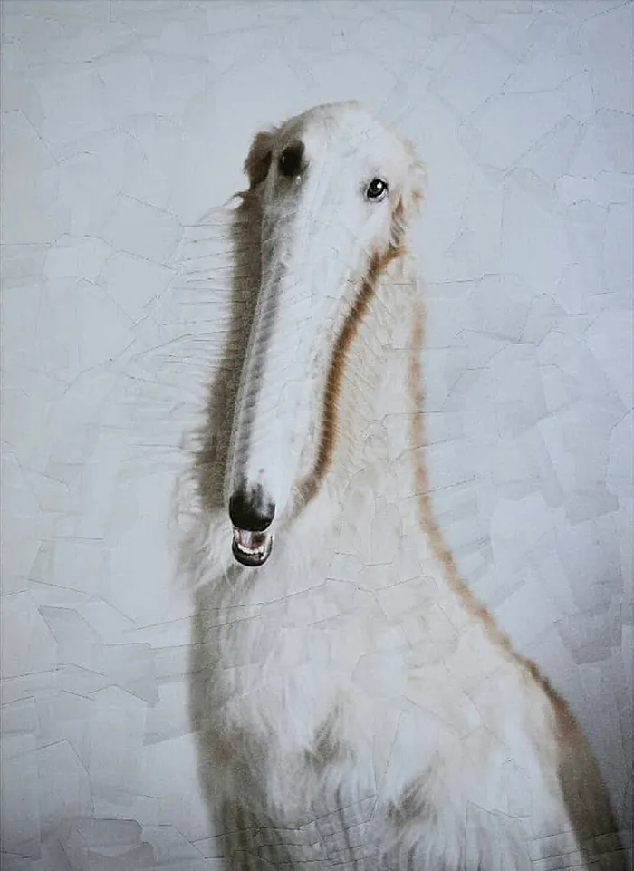 Artist Creates Unusual Pet Portraits Through Distortion, And Here Are Her 80 Best Works