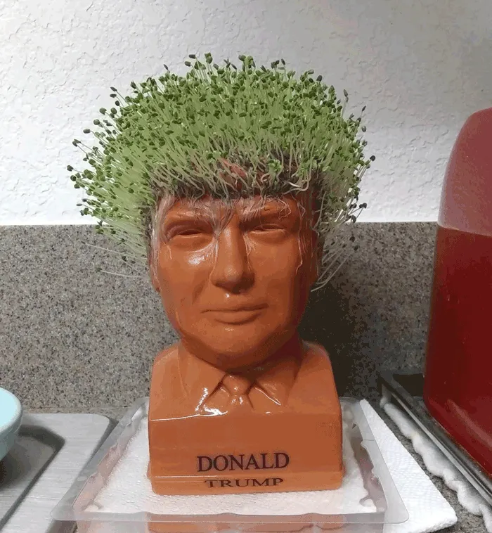 We Wonder If The Real Trump Just Stood In Some Water If His Hair Could Get As Lucious As His <a Style="Display:inline;" Href="Https://Www.amazon.com/Chia-President-Decorative-Pottery-Occasion/Dp/B01g988zrg?crid=1g5ktvg5fxl0p&dib=eyj2ijoimsj9.gfgr46lj38xcb0ya_stfu9zsxffhorybs62dyon4yoeiuttozt1r4mhid8c2ouyzik8k8usgrjazy_jzbke2trlckvb7ltgjbcbq64v1svhsxlezolztz3ic9afwd2r6qshywum_mtr8hsej2hb0fmvorpfexhhxszsnv4gpjh3_xy8hnqrogocclolk5tfdfl6o0_bhad_mrzzt_fj-Bnvftpl1slgjjt1qpn5uu0ciyz1ga-Dtpscv0dfkmsl97nnalzpubxxztotzps9sedscyfylxr5blwseprny8xs.cncopn-U3vibls7dsn9s7obxa3v7pnyrreothou7cr4&dib_tag=se&keywords=trump&qid=1721047373&sprefix=trump%2caps%2c287&sr=8-3&th=1&linkcode=ll1&tag=bpkiwi-20&linkid=47e533cadcb7910f35fe7f847559d599&language=en_us&ref_=as_li_ss_tl" Target="_blank"><span Style="Font:inherit;color:#d74b1f;"> Chia Pet  </Span> Counterpart?