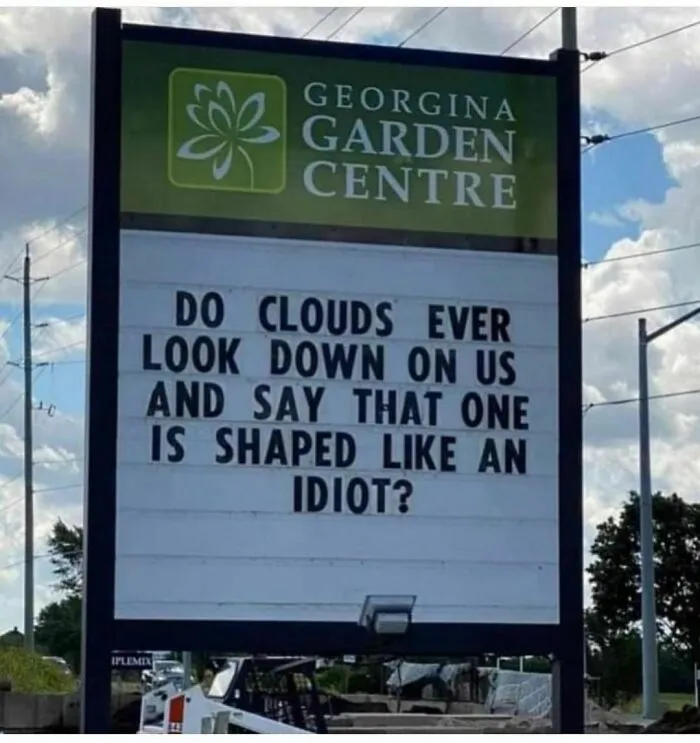 50 Funny Memes For Those Who Could Really Use Some Quality Humor Today