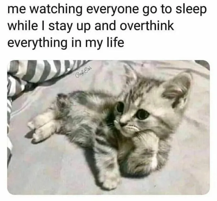 35 Random Memes To Take You Away From Reality For 2 Seconds