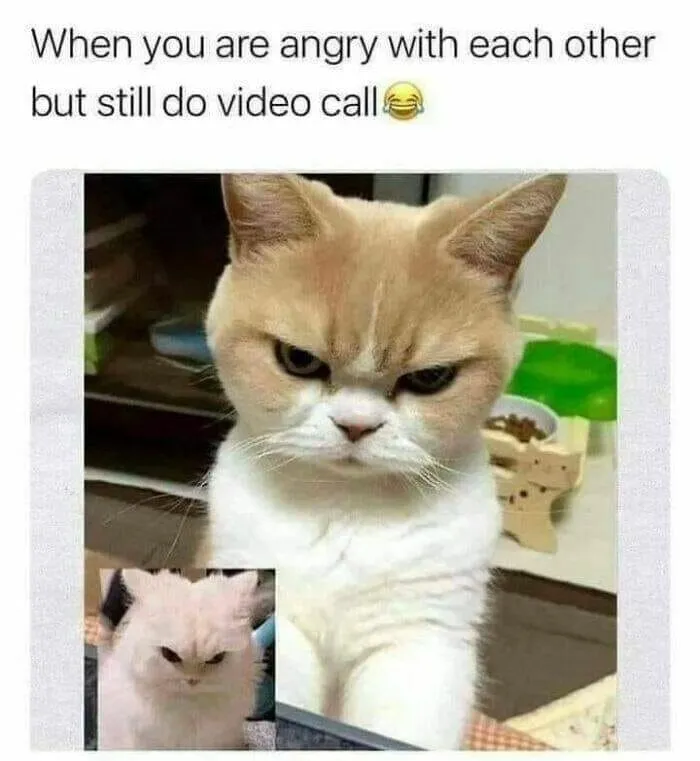 35 Random Memes To Take You Away From Reality For 2 Seconds