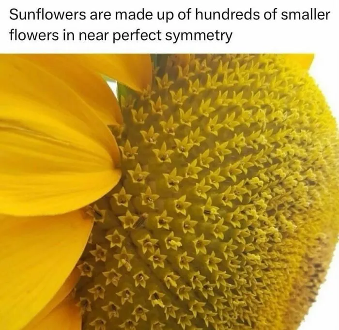"How Things Work": 50 Facts And Curiosities More People Should Know About