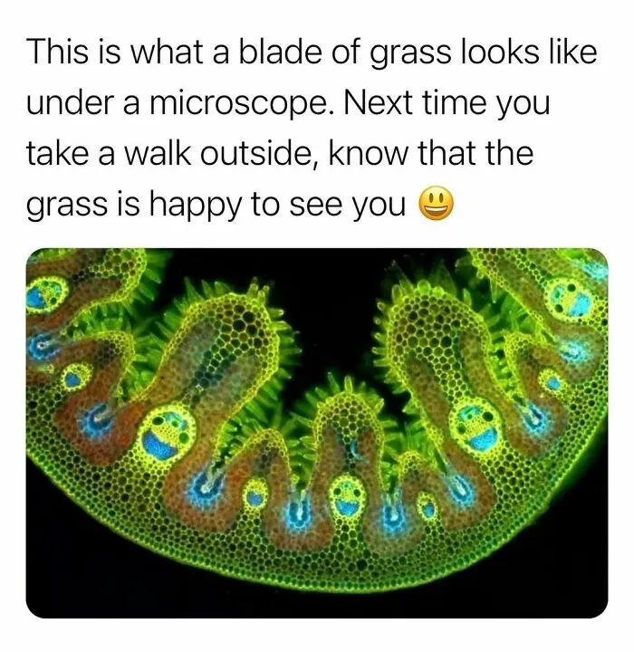 "How Things Work": 50 Facts And Curiosities More People Should Know About