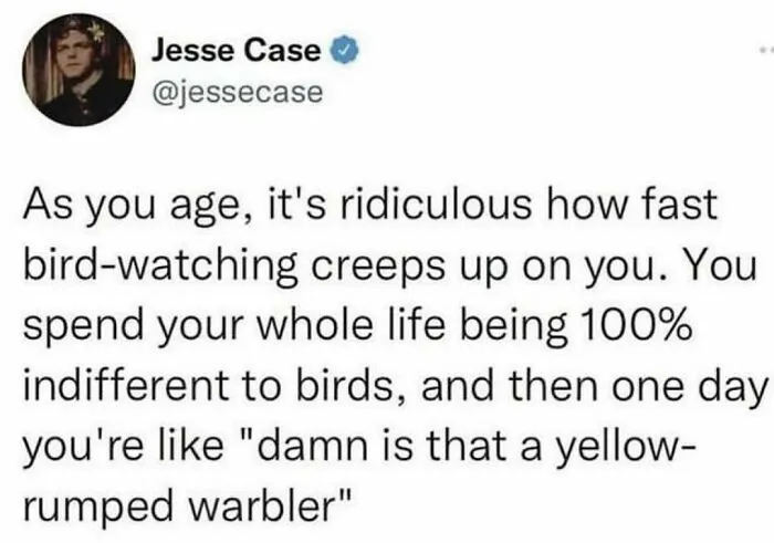 50 Funny Memes For Those Who Could Really Use Some Quality Humor Today