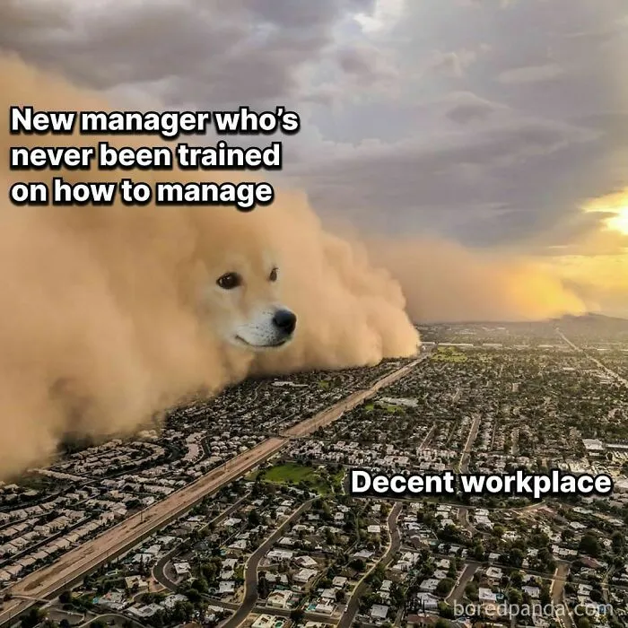 45 Accurate Work Memes To Enjoy On Your 5th Coffee Break