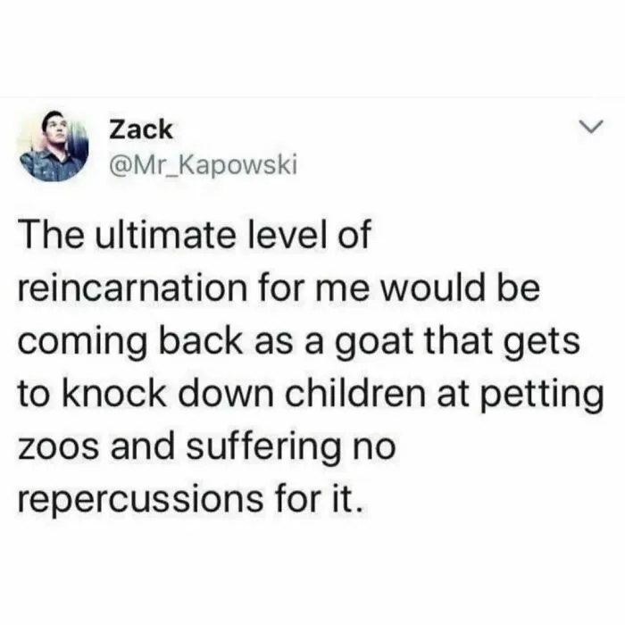 50 Funny Memes For Those Who Could Really Use Some Mind-Numbing Humor Today