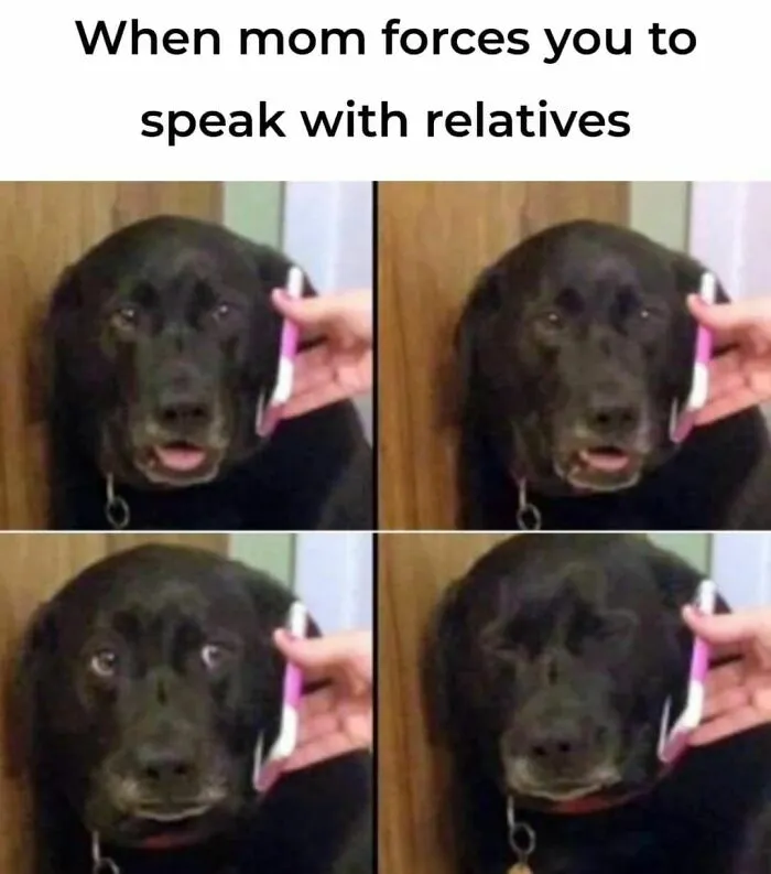 35 Random Memes To Take You Away From Reality For 2 Seconds