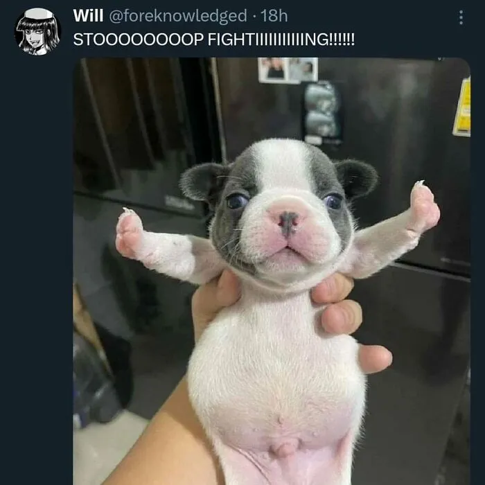 This IG Page Is Notorious For Sharing Hilarious Animal Posts, Here Are 50 Of The Best