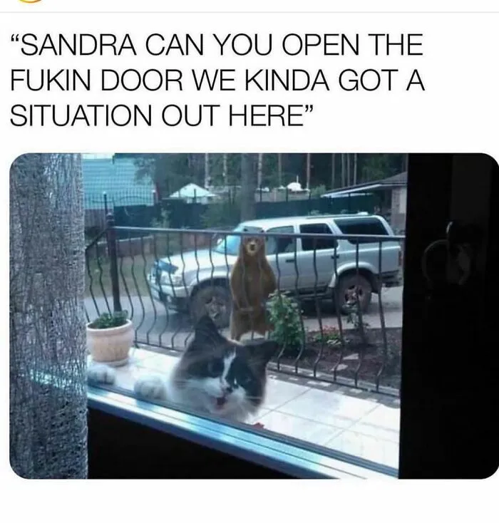 This Instagram Account Shares Memes That Are Just The Right Amount Of Funny (50 Pics)