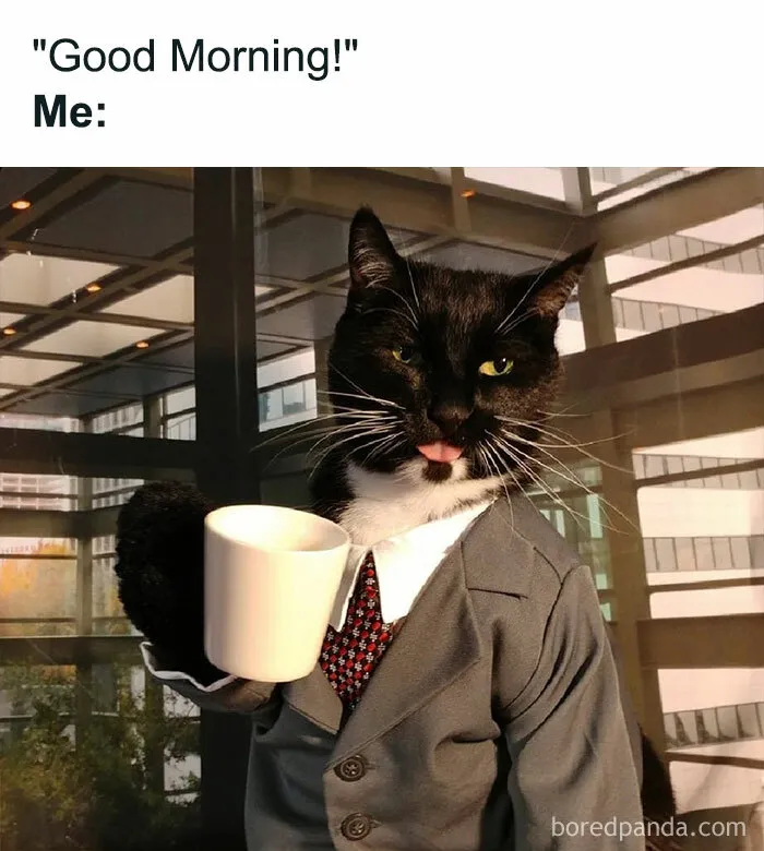 Good Morning Funny Meme to Get You Through the Day