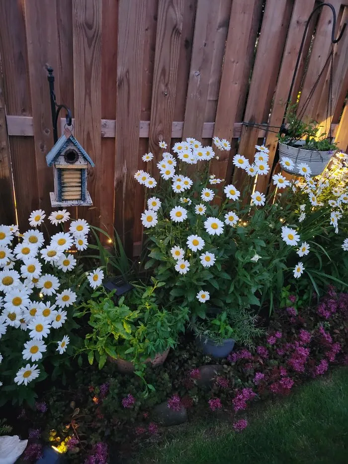 Flora's Garden