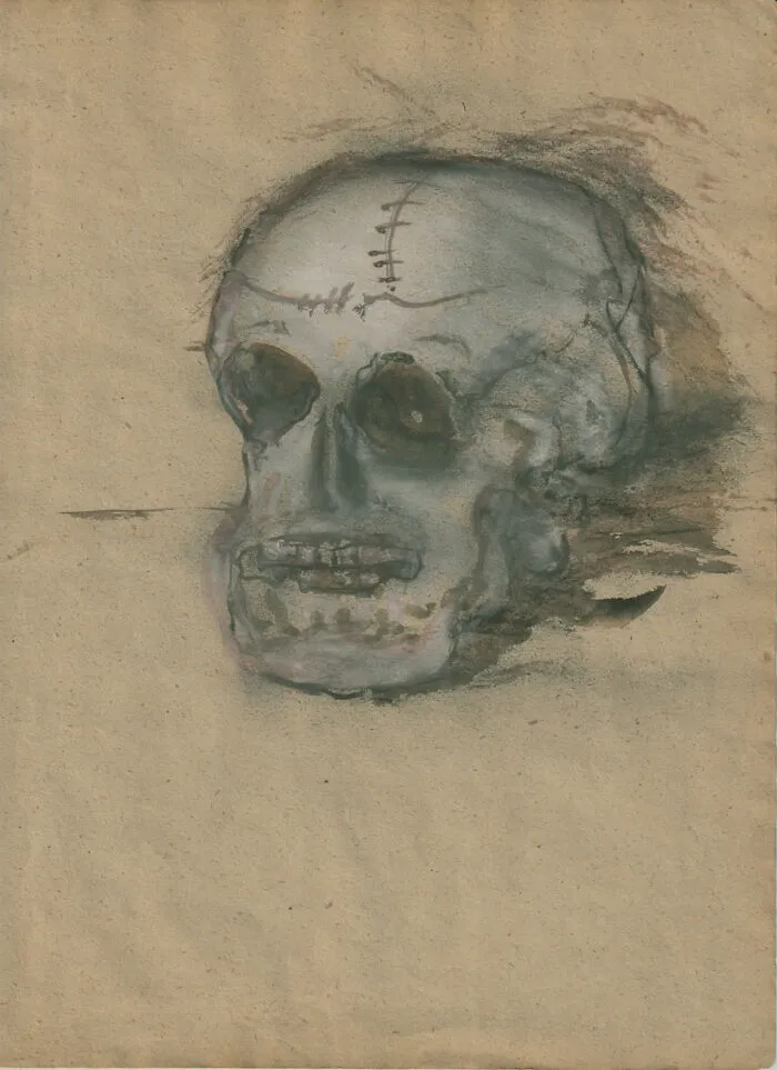 Beautiful Watercolors From 1940 Were Discovered To Be Of Shrunken Heads (8 Pics)