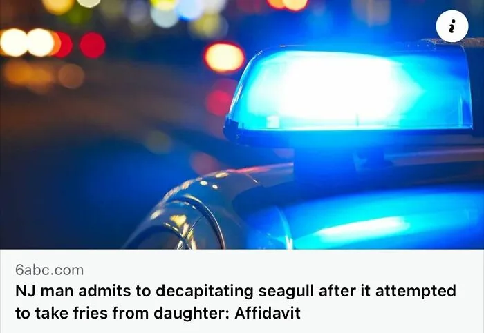 50 Unhinged Incidents That Would Be Hard To Believe If They Hadn’t Made The News