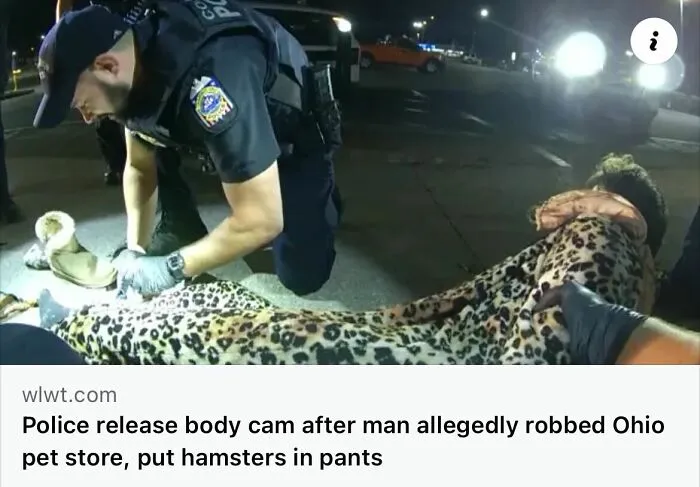 50 Unhinged Incidents That Would Be Hard To Believe If They Hadn’t Made The News