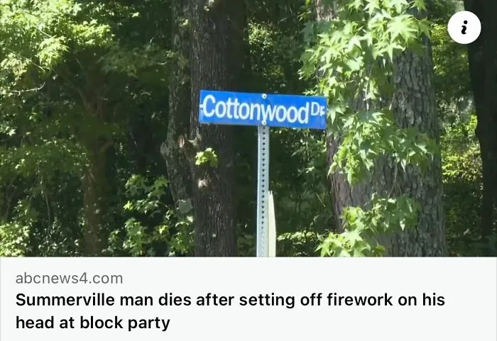 50 Unhinged Incidents That Would Be Hard To Believe If They Hadn’t Made The News