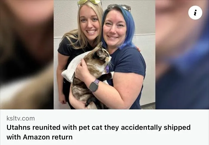 50 Unhinged Incidents That Would Be Hard To Believe If They Hadn’t Made The News