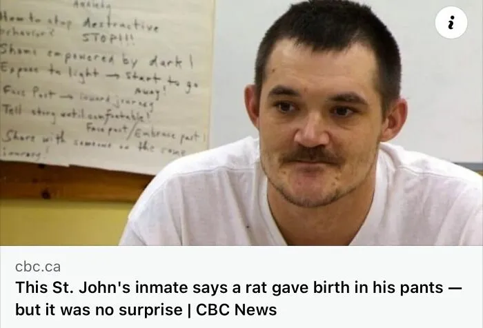 50 Unhinged Incidents That Would Be Hard To Believe If They Hadn’t Made The News