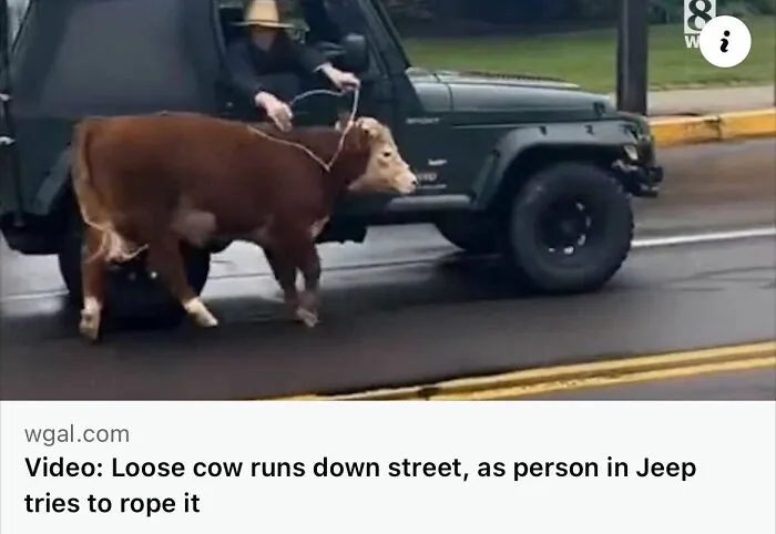 50 Unhinged Incidents That Would Be Hard To Believe If They Hadn’t Made The News