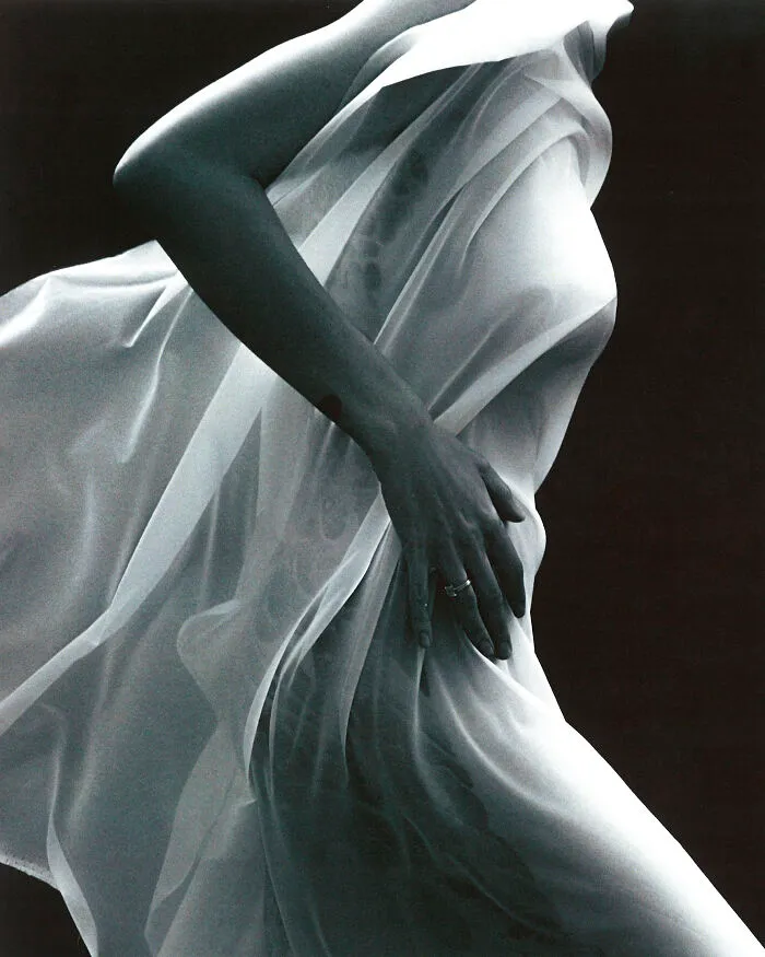 Velum, 2022