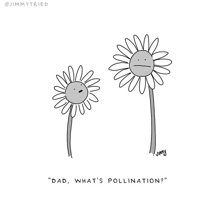 21 Fresh One-Panel Comics By Jimmy Craig Mixing Humor And Darkness
