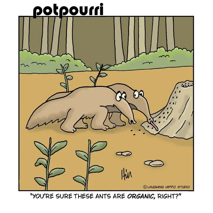 30 New One-Panel Comics Filled With Humor And Silly Situations By ‘Laughing Hippo Studio’