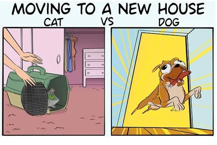 This Artist Has A Dog And Cat, And She Portrays Their Adventures In Her Comics (35 Pics)