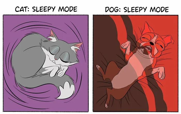 This Artist Has A Dog And Cat, And She Portrays Their Adventures In Her Comics (35 Pics)